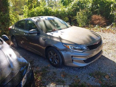 5XXGT4L13GG****** 2016 Kia Optima