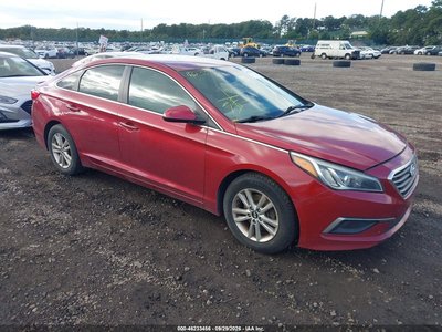 5NPE24AF0GH****** 2016 Hyundai Sonata