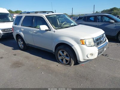 1FMCU0E73AK****** 2010 Ford Escape