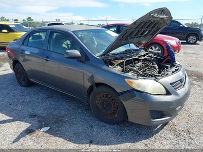 JTDBL40EX9J****** 2009 Toyota Corolla