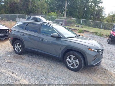 5NMJBCDE0RH****** 2024 Hyundai Tucson
