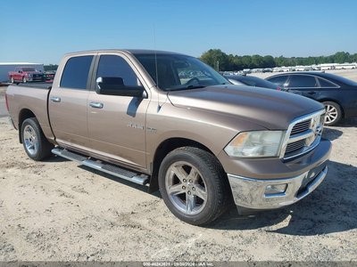 1D7RB1CTXAS****** 2010 Dodge Ram 1500