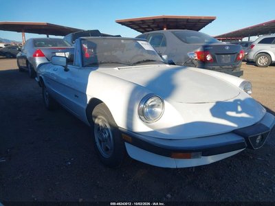 ZARBA5644K1****** 1989 Alfa Romeo Spider