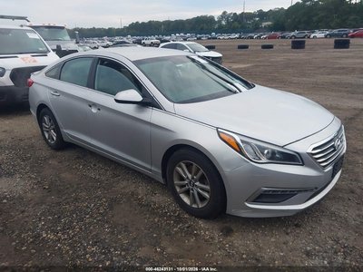5NPE24AF5FH****** 2015 Hyundai Sonata