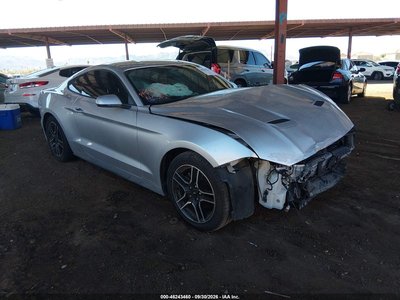 1FA6P8TH8K5****** 2019 Ford Mustang