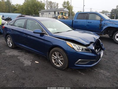 5NPE24AF4GH****** 2016 Hyundai Sonata
