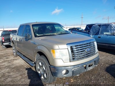 1FTFW1EV5AF****** 2010 Ford F-150