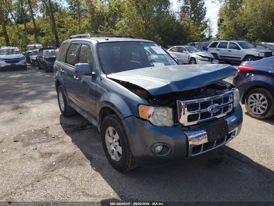 1FMCU0EG8AK****** 2010 Ford Escape
