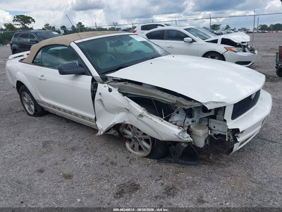 1ZVFT84N665****** 2006 Ford Mustang