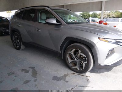5NMJF3DE2RH****** 2024 Hyundai Tucson