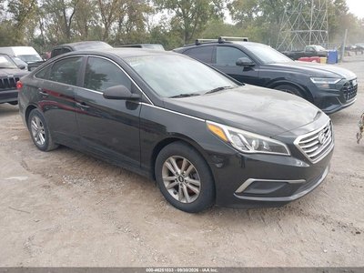 5NPE24AF9GH****** 2016 Hyundai Sonata