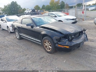 1ZVFT80N175****** 2007 Ford Mustang