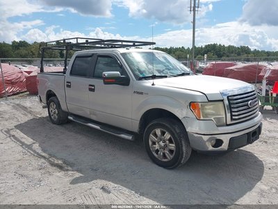 1FTFW1CV0AF****** 2010 Ford F-150