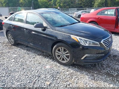 5NPE24AF1FH****** 2015 Hyundai Sonata