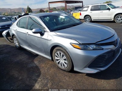 4T1C31AK4LU****** 2020 Toyota Camry Hybrid