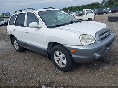 KM8SC73D95U****** 2005 Hyundai Santa Fe