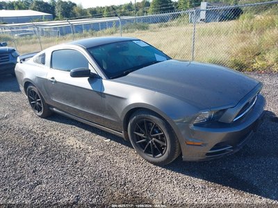 1ZVBP8AM0E5****** 2014 Ford Mustang
