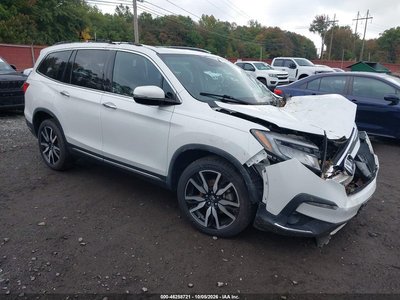 5FNYF6H63MB****** 2021 Honda Pilot