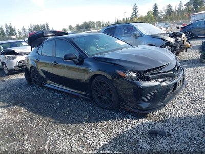 4T1KZ1AK0NU****** 2022 Toyota Camry