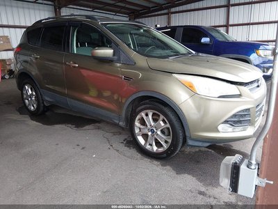 1FMCU0GX8DU****** 2013 Ford Escape