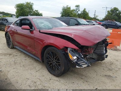 1FA6P8AM4F5****** 2015 Ford Mustang