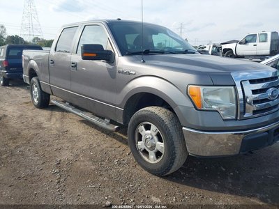 1FTFW1EV9AF****** 2010 Ford F-150