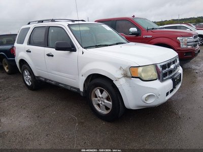 1FMCU0D71AK****** 2010 Ford Escape