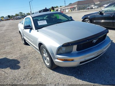1ZVFT80N865****** 2006 Ford Mustang