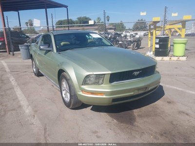 1ZVFT80N165****** 2006 Ford Mustang