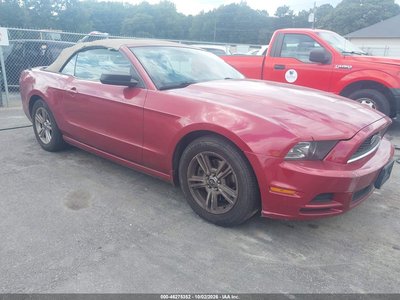 1ZVBP8EM9D5****** 2013 Ford Mustang
