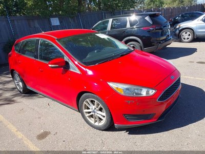 1FADP3K26GL****** 2016 Ford Focus