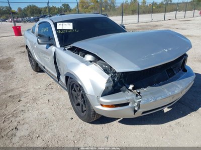 1ZVHT80N095****** 2009 Ford Mustang