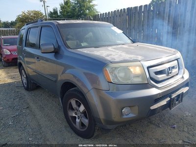 5FNYF48419B****** 2009 Honda Pilot