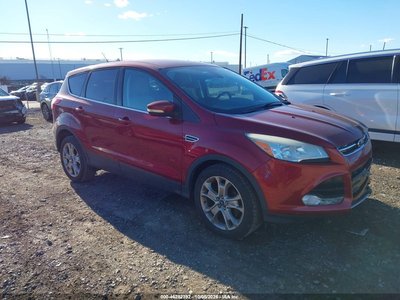 1FMCU0HXXDU****** 2013 Ford Escape