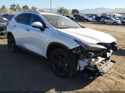 JTJHKCFZ8N2****** 2022 Lexus NX