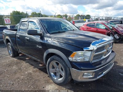 1D7RV1GP0AS****** 2010 Dodge Ram 1500