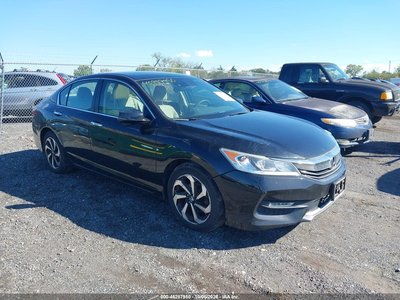 1HGCR2F07GA****** 2016 Honda Accord