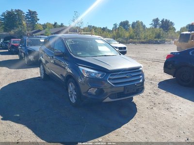 1FMCU9GD0KU****** 2019 Ford Escape