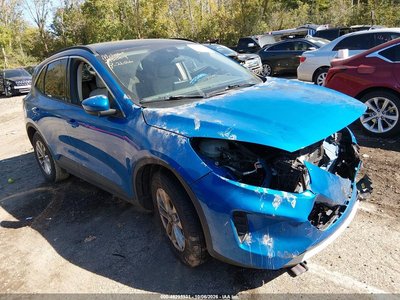 1FMCU0G6XLU****** 2020 Ford Escape
