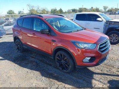 1FMCU9GD6KU****** 2019 Ford Escape