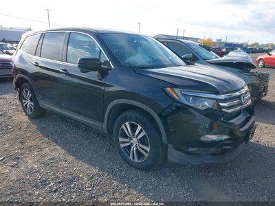 5FNYF6H50GB****** 2016 Honda Pilot