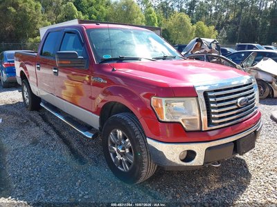 1FTFW1E89AF****** 2010 Ford F-150