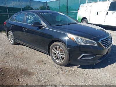 5NPE24AF3GH****** 2016 Hyundai Sonata
