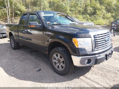 1FTFX1EV5AF****** 2010 Ford F-150