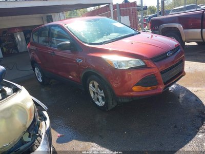 1FMCU0F79EU****** 2014 Ford Escape