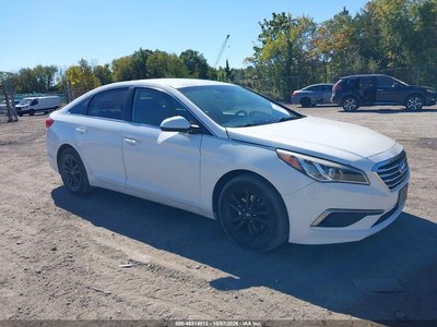 5NPE24AF6GH****** 2016 Hyundai Sonata