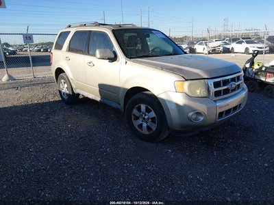 1FMCUOEG6AK****** 2010 Ford Escape