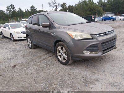 1FMCU0GX8DU****** 2013 Ford Escape