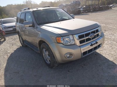 1FMCU9E78AK****** 2010 Ford Escape