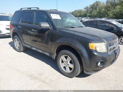 1FMCU0D72BK****** 2011 Ford Escape